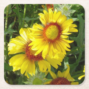 Dessous-de-verre Carré En Papier F6 Fleurs jaunes sauvages
