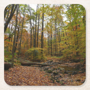 Dessous-de-verre Carré En Papier Fall Creek à Laurel Hill State Park Pennsylvania