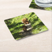 Dessous-de-verre Carré En Papier Famille d'ours Brown (Incliné)