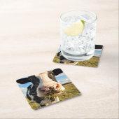 Dessous-de-verre Carré En Papier Fermes | Vache Holstein Chewing (En situation)