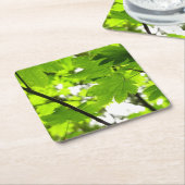 Dessous-de-verre Carré En Papier Feuilles d'érable avec Raindrops (Incliné)