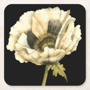 Dessous-de-verre Carré En Papier Fleur crème de pavot sur l'arrière - plan noir