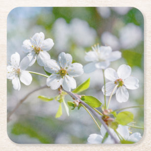 Dessous-de-verre Carré En Papier Fleur de cerisier blanc