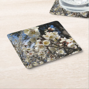 Dessous-de-verre Carré En Papier Fleur de cerisier blanc / Sakura / ク(桜)