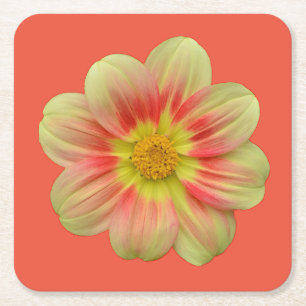 Dessous-de-verre Carré En Papier Fleur de dahlia orange et jaune