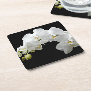 Dessous-de-verre Carré En Papier Fleur d'orchidée blanche