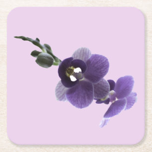 Dessous-de-verre Carré En Papier Fleur d'orchidée violette, Dessous de verre en pap