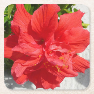 Dessous-de-verre Carré En Papier Fleur double hibiscus rouge