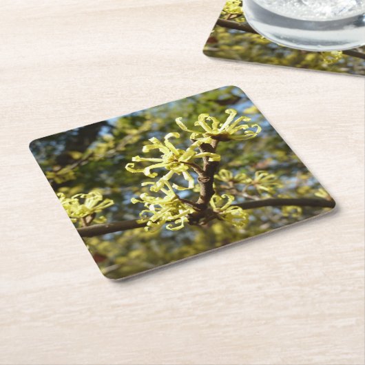 Dessous-de-verre Carré En Papier Fleurs à puces de sorcière (Incliné)