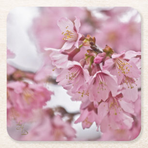 Dessous-de-verre Carré En Papier Fleurs de cerisier Sakura rose pâle
