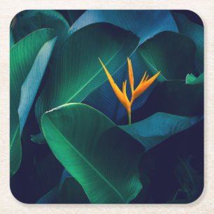 Dessous-de-verre Carré En Papier Fleurs Oiseau du paradis