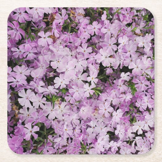 Dessous-de-verre Carré En Papier Fleurs roses (Devant)