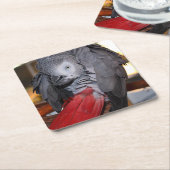 Dessous-de-verre Carré En Papier Flexible Congo perroquet gris africain avec queue  (Incliné)