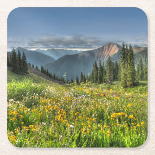 Dessous-de-verre Carré En Papier Flowers (homonymie) Wildflowers Silverton Colora