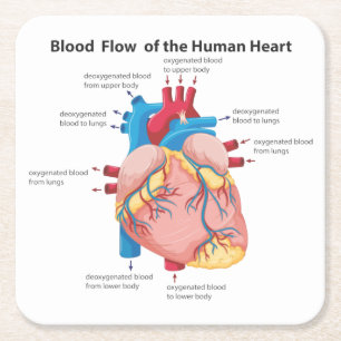 Dessous-de-verre Carré En Papier Flux sanguin du coeur humain