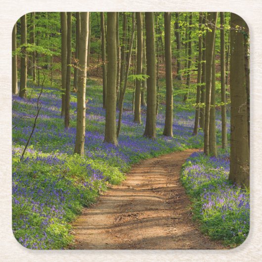 Dessous-de-verre Carré En Papier Forests | Bluebell Forest in Belgium (Devant)