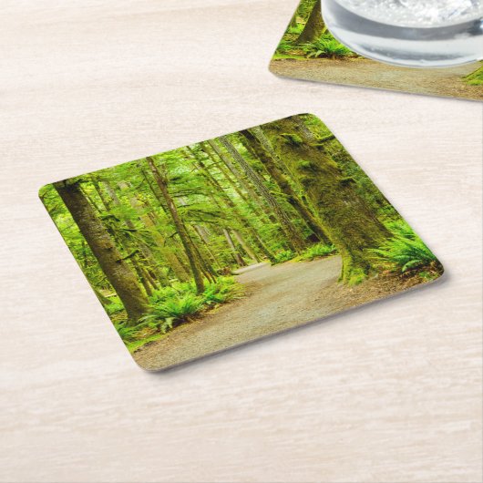 Dessous-de-verre Carré En Papier Forests | Olympic National Park (Incliné)