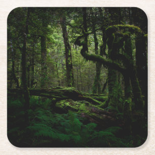 Dessous-de-verre Carré En Papier Forests   Routeburn Track Fiordland National Park