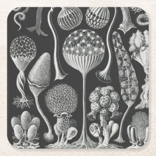 Dessous-de-verre Carré En Papier Formes artistiques de la nature
