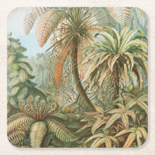 Dessous-de-verre Carré En Papier Fougères, Filicinae Laubfarne par Ernst Haeckel