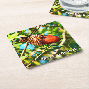 Dessous-de-verre Carré En Papier Galilee Acorn