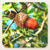 Dessous-de-verre Carré En Papier Galilee Acorn (Devant)