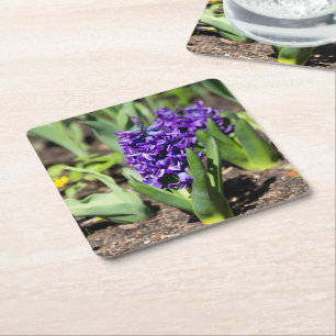 Dessous-de-verre Carré En Papier Géocinthe bleu au printemps