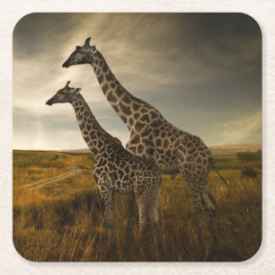 Dessous-de-verre Carré En Papier Girafes et le paysage