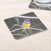 Dessous-de-verre Carré En Papier Gouldian finch (Incliné)