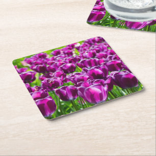 Dessous-de-verre Carré En Papier Grand champ de tulipes violettes