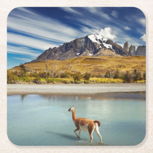 Dessous-de-verre Carré En Papier Guanaco traversant la rivière en Torres del Paine