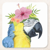 Halo tropical - Perroquet