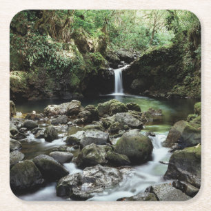 Dessous-de-verre Carré En Papier Hawaii, Maui, Une cascade se jette dans le bassin