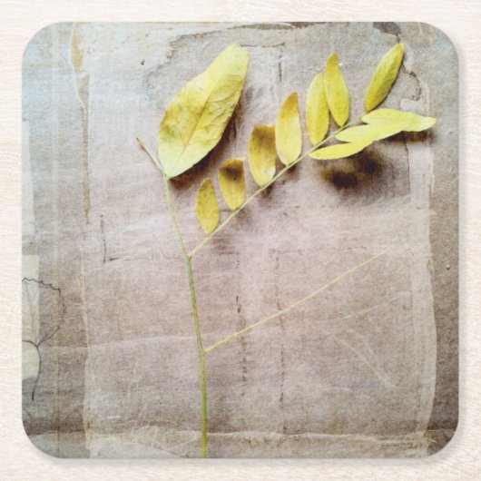 Dessous-de-verre Carré En Papier Herbarium V (Devant)