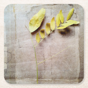 Dessous-de-verre Carré En Papier Herbier V