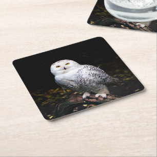 Dessous-de-verre Carré En Papier Hibou blanc majestueux d'hiver