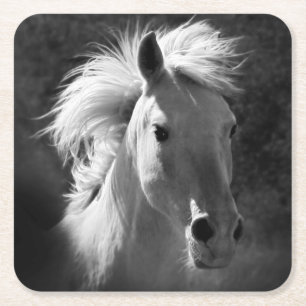 Dessous-de-verre Carré En Papier Horse Portrait V