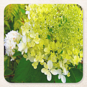 Dessous-de-verre Carré En Papier Hydrangea Limelight Vert Chartreuse Élégant