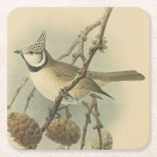 Dessous-de-verre Carré En Papier Illustration vintage de mésange huppée européenne