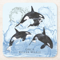 Incroyable Orques d'aquarelle noire et blanche