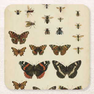 Dessous-de-verre Carré En Papier Insectes de jardin par le studio de vision