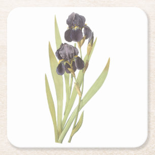 Dessous-de-verre Carré En Papier iris barbu (Iris germanica) par Redouté