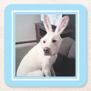 Dessous-de-verre Carré En Papier Joli chien blanc avec des oreilles de lapin de Pâq