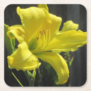 Dessous-de-verre Carré En Papier Jour Jaune Dessous de verre de fête Lily