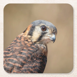Dessous-de-verre Carré En Papier Kestrel américain