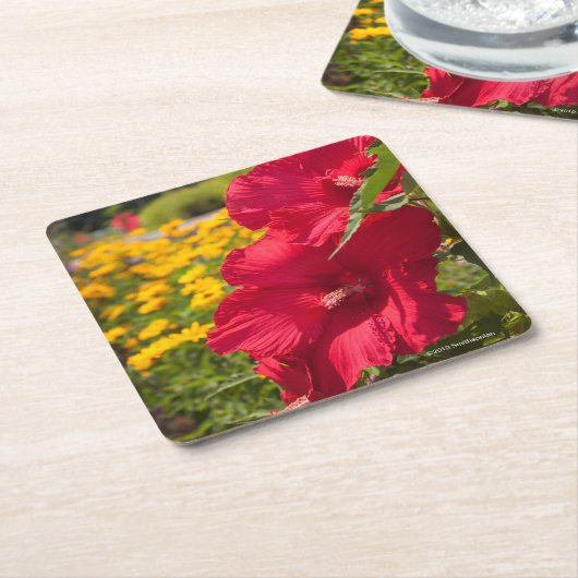 Dessous-de-verre Carré En Papier Ketmie rouge (Incliné)