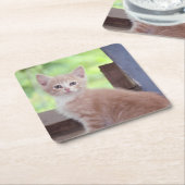 Dessous-de-verre Carré En Papier Kitten (Incliné)