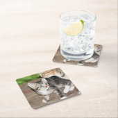 Dessous-de-verre Carré En Papier Kitten (En situation)