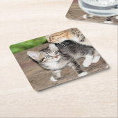 Dessous-de-verre Carré En Papier Kitten (Incliné)
