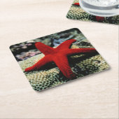 Dessous-de-verre Carré En Papier La Mer Rouge des poissons | d'étoile (Incliné)